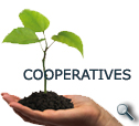 ERP - Cooperatives